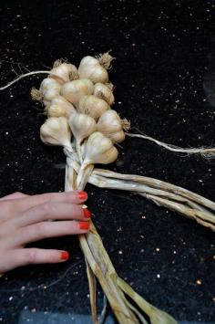 How to Make a Garlic Braid. juliesgardendelig...