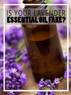 Is Your Lavender Essential Oil Fake - Homesteading and Health