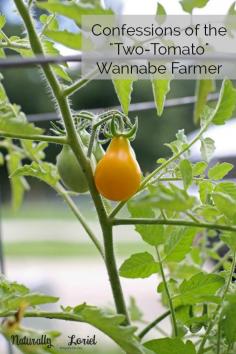 Confessions of the "Two-Tomato" Wannabe Farmer - Naturally Loriel