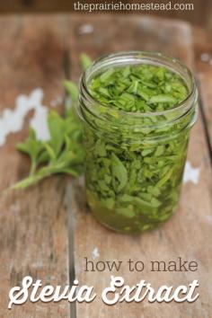 how to make homemade stevia extract