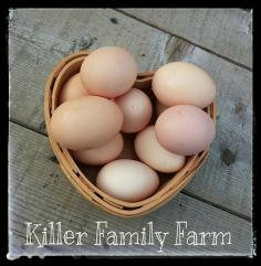 Our hens lay the most amazing eggs!!