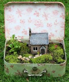 Hometalk :: Suitcase Fairy Garden Tutorial
