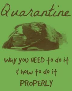 How & Why to Quarantine Properly
