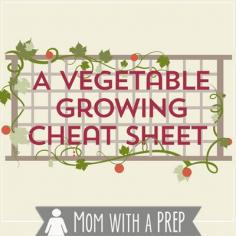 Mom with a PREP | A vegetable growing / planting companion cheat sheet.   #infographic  #gardening  #squarefootgardening
