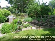 Ithaca NY backyard vegetable garden