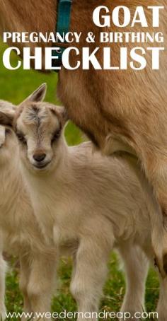 Goat Pregnancy & Birthing Checklist. #pioneersettler