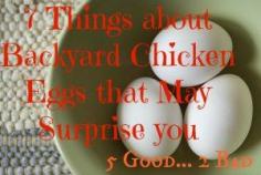 7 Surprising things about Backyard Chicken Eggs (5 good and 2 bad) found at www.PintSizeFarm.com