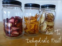 How to Dehydrate Fruit:  Tutorial for dehydrating pineapple, peaches, strawberries, blueberries, apples, mango and grapes.  Pin this one now and save as the summer draws to an end!:: DontWastetheCrumb...