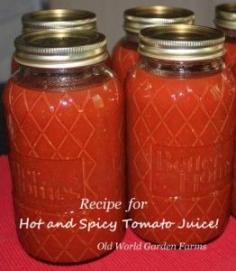 The Homestead Survival | “Wow – I Could Have Made My Own V-8!” Can Your Own Hot and Spicy Tomato Juice | Homesteading and Canning