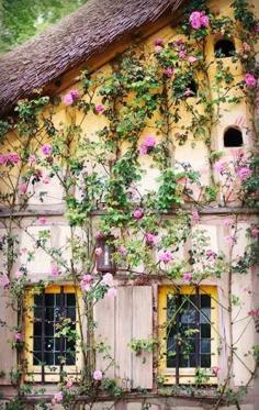 Dovecote and roses, Versailles, France | La Beℓℓe ℳystère