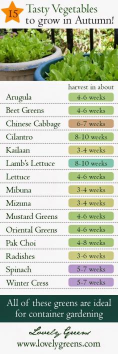 15 Vegetables you can Grow in Autumn - in the garden or containers. Keep yourself in fresh veggies for salads, stir-fries, soups, and savory dishes right through to the first frost! #gardening