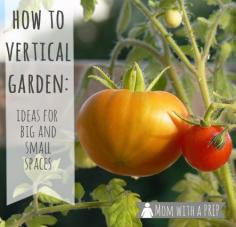 Mom with a PREP | Vertical Gardening gives big and small spaces a chance to grow more crops in a smaller area.