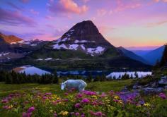 "If it isn't God's backyard, then he certainly lives nearby." - Robin Williams on Glacier National Park. RIP