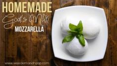 Homemade Goat Milk Mozzarella| There is really nothing better than homemade mozzarella. #pioneersettler