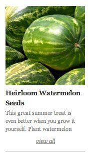 How to Grow Watermelon | Planet Natural