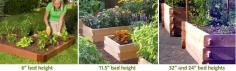 Determining the depth of raised garden beds