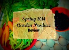 Spring 2014 Garden Produce Review- looking at what we grew and how to grow more!