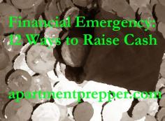 Financial Emergency  12 Ways to Raise Cash