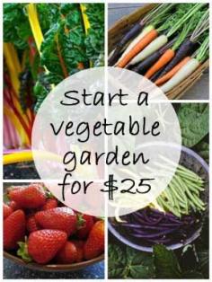 Using money as an excuse to not start a garden? Well learn how you can make that vegetable garden for just $25.