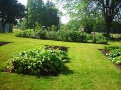 vegetable garden