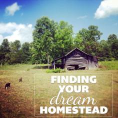 Finding Your Dream Homestead