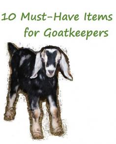 Oak Hill Homestead | 10 Must-Have Items for Goat keepers. #pioneersettler
