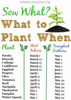 It’s planting time for many who are already preparing to grow seeds indoors. I usually wait and buy most of my plants in May because I never know when to start my seeds indoors. This handy little chart lets you know when to start seeds indoors as well as when to plant outdoors.