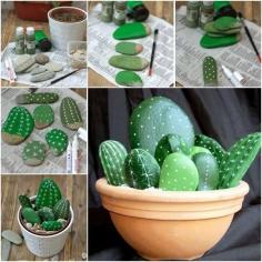 Rock Cactus Garden