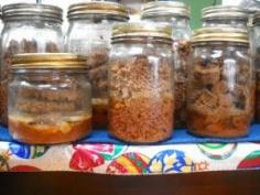 The Homestead Survival | How To Dry Can Meats | Homesteading and Canning