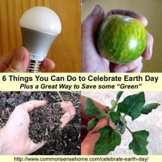 6 Things You Can Do to Celebrate Earth Day and Save Some "Green" - Plus the First Common Sense Homesteading video on YouTube