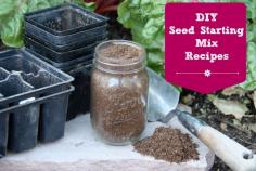 This guide is perfect for anyone seed starting their garden.