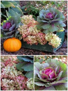 The gorgeous colors of fall.  This rustic tool box combination would look great as a centerpiece on your fall table!