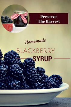Preserve the Harvest: Let's Talk Blackberries and Canning Homemade Blackberry Syrup