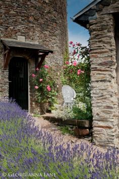 Lavender and roses at Le Pigeonnier, a restored dovecot at Le Manoir de Herouville, Calvados, Normandy, France
