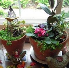 Indoor Container Gardens