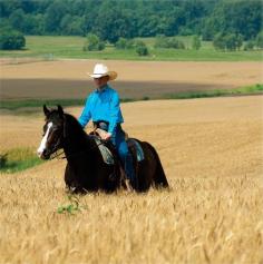 Spend Summer On a Tennessee Equine Trail.