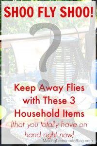 Amazing Trick for Repelling Flies at your next outdoor picnic or party using just THREE common household items! via makinglemonadeblo...