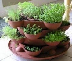 Successful Indoor Container Gardens