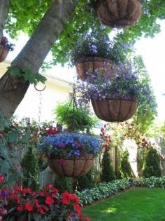 Backyard Gardens. Hang plants from tree branches.. love it!