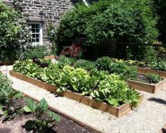 vegetable garden design with raised beds