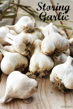 Garlic harvested from the garden is a beautiful thing! The question is, how can it be properly stored so that it will last for months and be planted in the garden for next year? Here's how I do it!