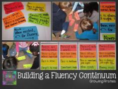 Building a Fluency Continuum