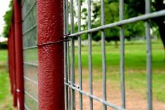 Livestock Farming | Choose the Right Fence for Your Goat - Goat Fencing