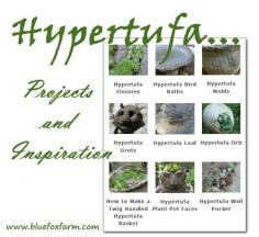 Popes Pots Hypertufa; an article by Deb Pope about her hypertufa creations