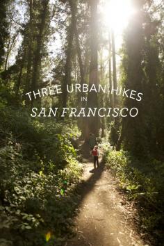 Urban Hikes in San Francisco: 1. Historic Trail. This trail is great because it makes me feel like I’m not smack dab in the middle of a city. It goes through a really nice wilderness area and ends up near Sutro Tower. The trailhead starts at Stanyan and 17th and is just a set of wooden stairs tucked in between two houses on the street.