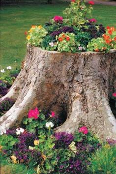 Tree-Stump Planter