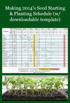 Making 2014's Seed Starting & Planting Schedule (w/downloadable template)