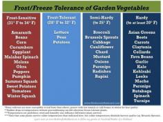 Freeze Tolerance of Vegetables