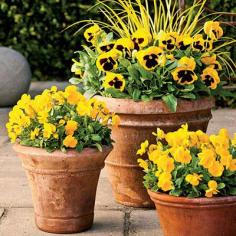 Fall Container Gardening Ideas - Southern Living