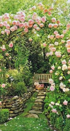 Rose Covered Stone Path